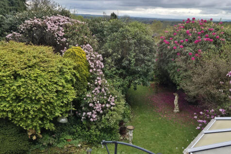 Wonderful flower colours around the garden