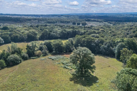 Views from the house over Ashdown Forest