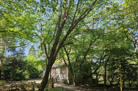 Existing woodland