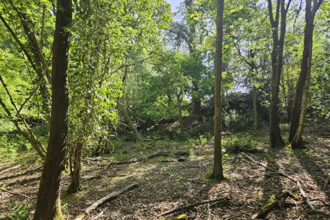 Existing woodland
