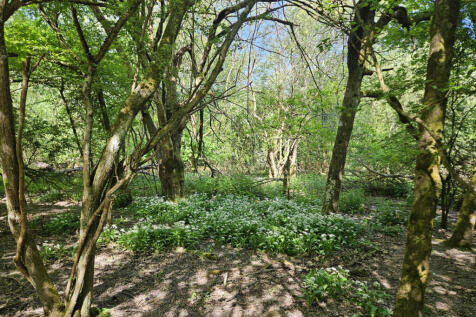 Existing woodland