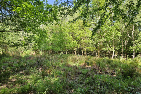 Existing woodland