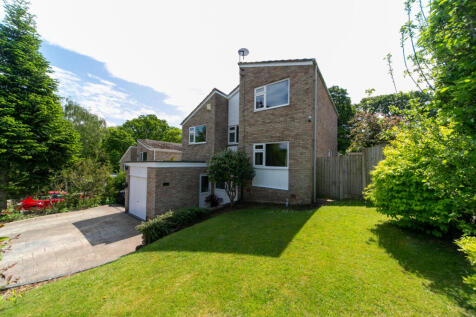 Property Image 43