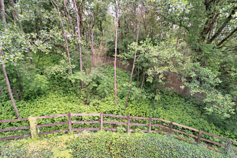 Communal Gardens