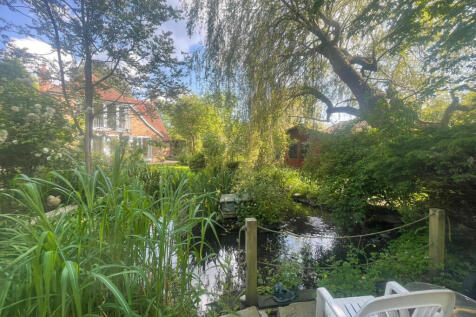 Pond and rear garden