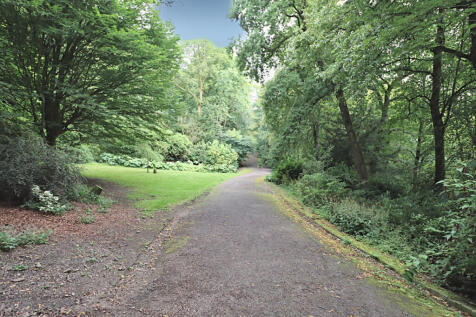 Surrounding Area
