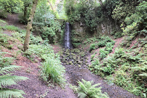 Surrounding Area