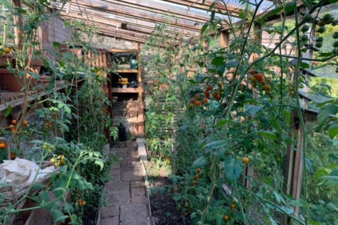 Property Image 24
