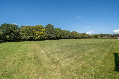 Top paddock with a section of secure private woodland for the house