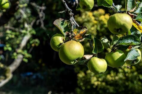 28-_DSC6510-HDR.jpg
