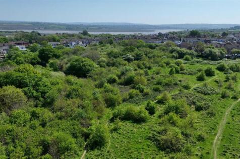 Sequence 01.00_03_38_09.Still010.jpg