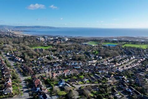 Sequence 01.00_04_43_23.Still006.jpg