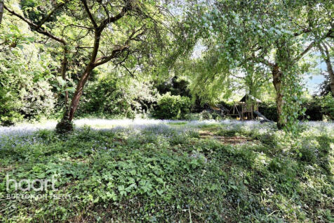 Property Image 44