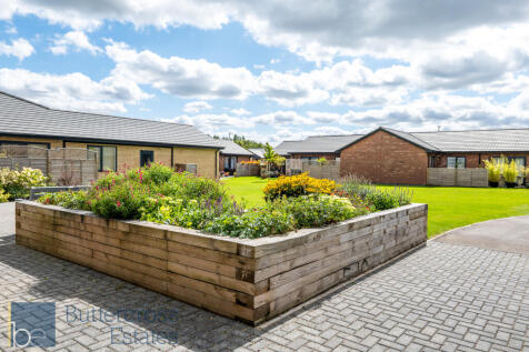 Communal Grounds