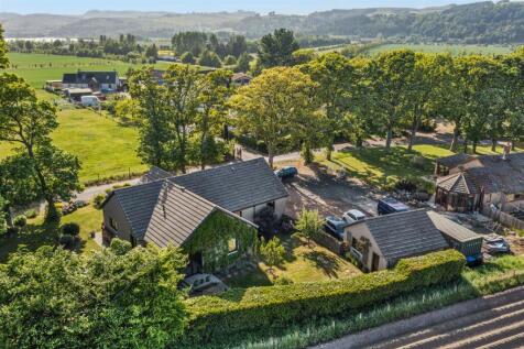 DJI_0155.jpg