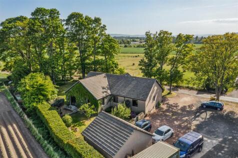 DJI_0128.jpg