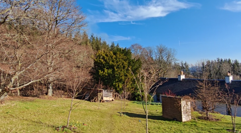 Property Image 64