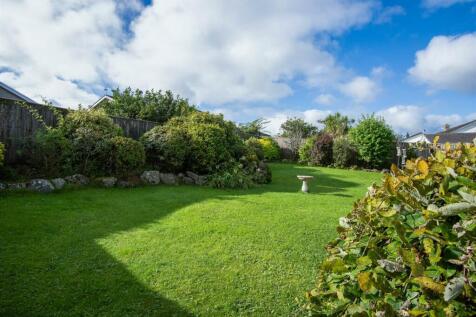 Garden and Driveway