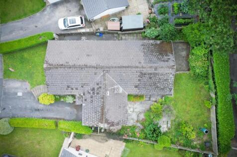DJI_0181.jpg