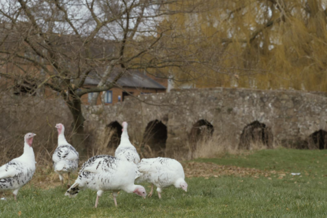 Main Sequence 20.10.png