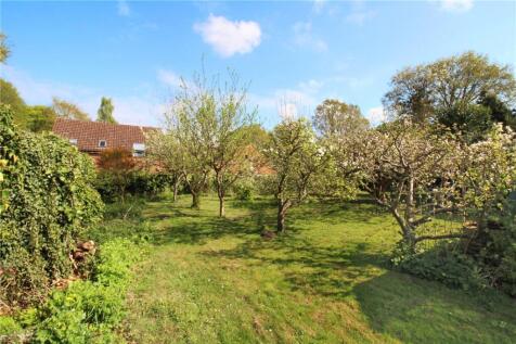 Orchard