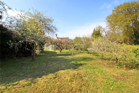 Orchard