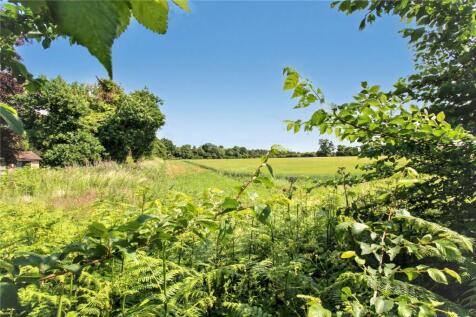 Field Views