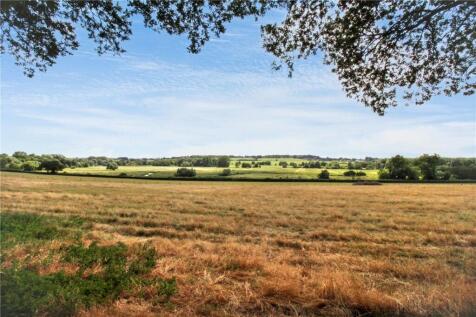 View From Woods