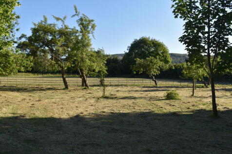 Orchard in Summer