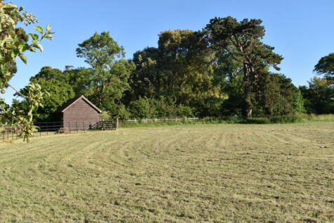 Paddock in Summer