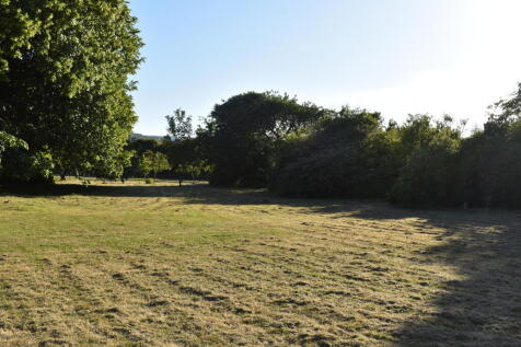 Garden in Summer