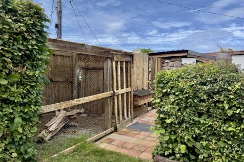 Chicken Enclosure