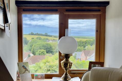 Study View