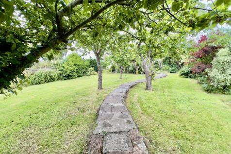 Path Under the Fruit Trees