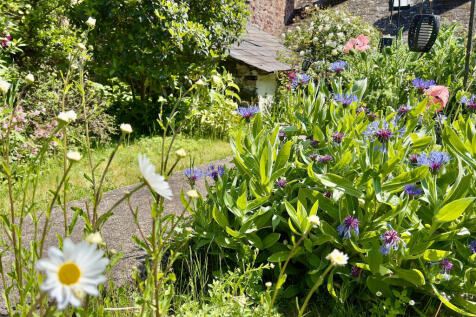 Cottage garden