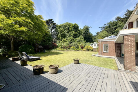 Back Garden