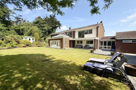 Back Garden