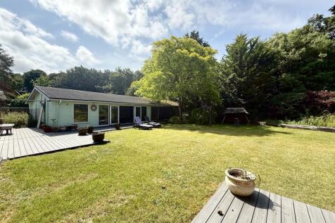 Back Garden
