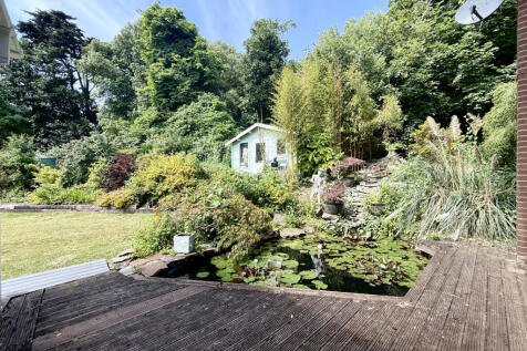Pond