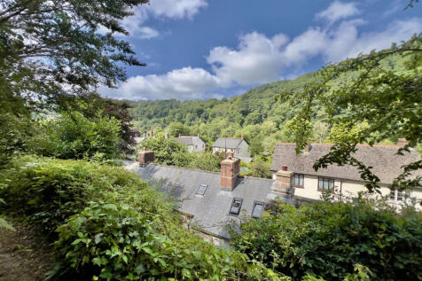 View from garden