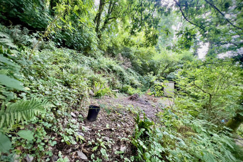 Top garden