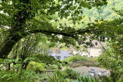 View from garden
