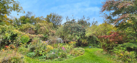 a55b266a-20251015_130220