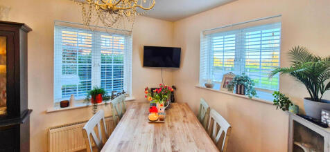 user_edited_photo-df7642d0_user-edited-1e1d0f5e-81