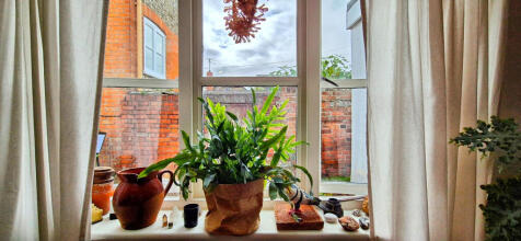 user_edited_photo-aa893bde_user-edited-e9bb0a76-50