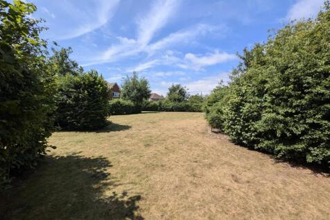 Green space.jpg
