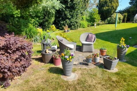 Garden 13.jpg