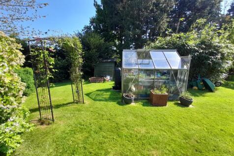 Garden 4.jpg