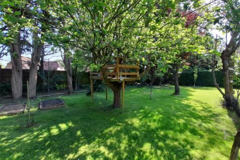 Garden 6.jpg