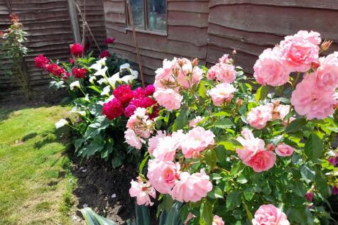 Rear garden 1.jpg